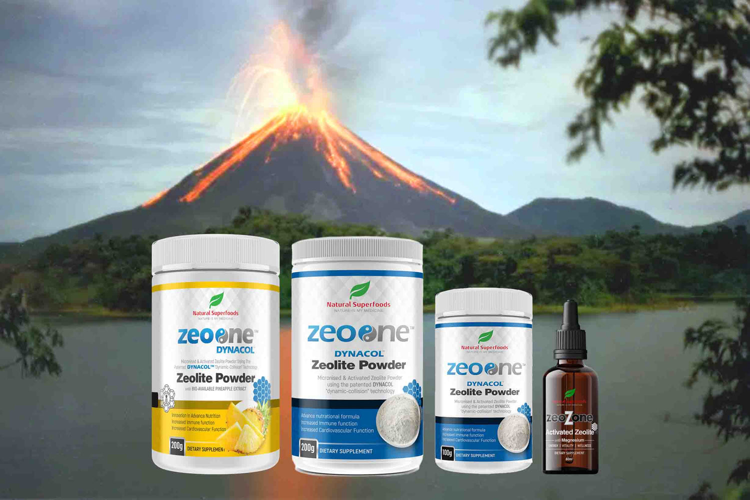 ZeoOne Dynacol Zeolite Powder